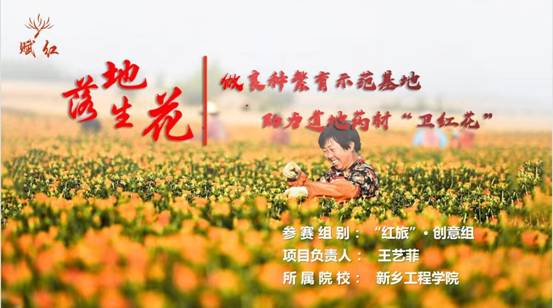 落地生花-做良种繁育示范基地，助力道地药材“卫红花”PPT首页